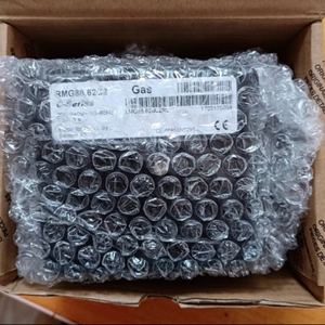 Contrôleur de Combustion RIELLO RMG88.62C2 RMO88.53A2 RMO88.53C2 – Pièces de Brûleur Neuves en Stock – Contrôleur RIELLO - Product Image 6