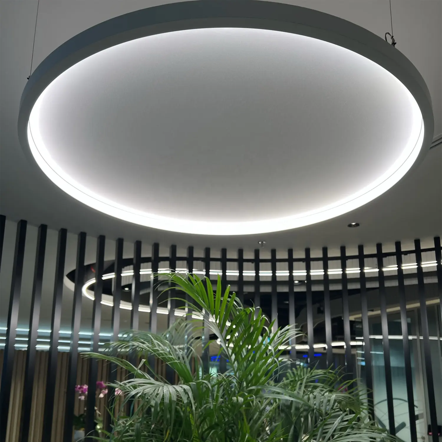 Office meeting room dimmable custom 1.5m 1500mm suspended led linear pendant light ring light acoustic light