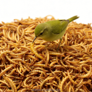 Toptan Yüksek Kaliteli Kurutulmuş Sarı Un Kurdu %55 Yüksek Proteinli Hayvan Yemi Kuşlar Balıklar Evcil Hayvanlar için - Product Image 1