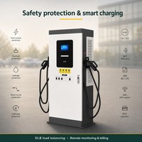 Borne de Recharge VE 60kW 120kW CCS2 CHAdeMO GBT Double Connecteur au Sol Rapide Intelligente OCPP T CE GB DLB OEM IP65 Fournisseur d'Usine LCD Vente en Gros