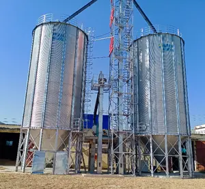 Silos in acciaio per silos di grano personalizzati in fabbrica di stoccaggio di risaie di mais