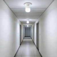 Ampoule LED cylindrique haute luminosité, culot E27, 6500K, 1800lm, AC 220V, source de lumière SMD pour la maison, les propriétés et les lieux