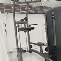 Station de dips professionnelle avec barre de traction – Tour de musculation robuste de qualité commerciale pour la calisthénie avec poids et l'entraînement au poids corporel