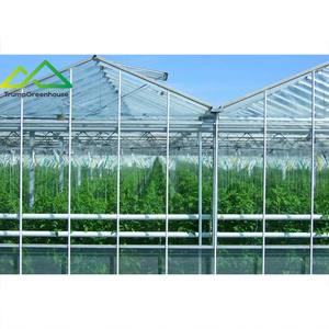 Grande serre multi-chapelles <span class=keywords><strong>en</strong></span> verre pour la culture hors-sol de tomates, concombres, poivrons et melons - Product Image 2