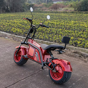 Vente d'usine, livraison gratuite aux États-Unis, scooter électrique Citycoco 4000W 12Ah pour adultes, double siège, vitesse maximale de 80 km/h - Product Image 4