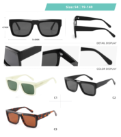 Lunettes de soleil tendance à monture épaisse et inclinée, style photographie de rue, monture carrée personnalisée, unisexe, en acétate