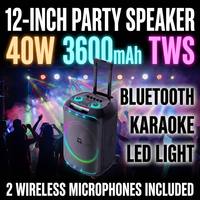 Valise portable d'extérieur, connectable en Bluetooth et équipée d'un microphone sans fil W12