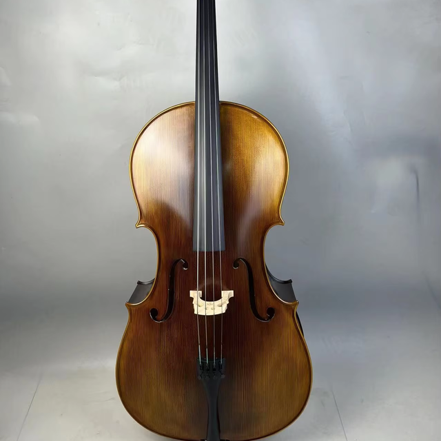 Violin Handcrafted Matte Pattern Cello Spruce Top Solid Wood Maple Back/Sides Ebony Fingerboard Carbon Fiber Strings