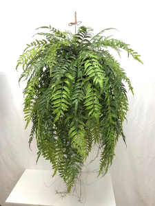 EG-A139 artificielle plante verte fougère herbe décorations suspendues de haute qualité dans l'air décoration de <span class=keywords><strong>la</strong></span> maison série forestière - Product Image 4