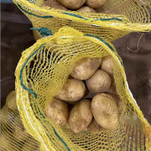 Pommes <span class=keywords><strong>de</strong></span> <span class=keywords><strong>terre</strong></span> biologiques certifiées Global GAP Yukon Gold <span class=keywords><strong>Russet</strong></span>, fraîches, 10 kg, stockage à froid, durée <span class=keywords><strong>de</strong></span> conservation <span class=keywords><strong>de</strong></span> 6 mois, emballage <span class=keywords><strong>de</strong></span> vente au détail en carton - Product Image 3