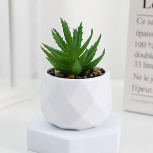 Plante succulente artificielle en pot carré ou rond, succulente réaliste, décoration de bureau créative et écologique, marque OEM, plante d'intérieur - Product Image 5