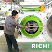 Machine automatique RICHI pour la fabrication de granulés de litière en bois – Moulin de production de granulés de paille pour litière d'animaux (chevaux, animaux de compagnie)
