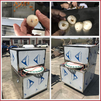 XINCHUAN Fabriek Leverancier Motorische Longan Ontpitmachine 220V Abrikozen Lychee Ontpit- en Ontzaaimachine 48 stuks/min