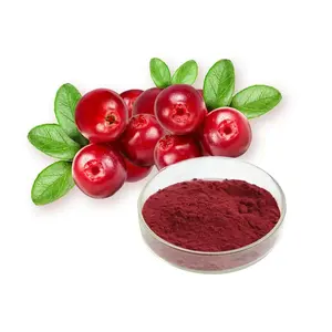 ISO Manufacturer Cranberry Extract Powder Natural Organic Cranberry Fruit Powder Cranberry Powder