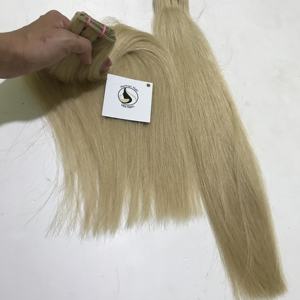 Extensiones de Cabello Humano al por Mayor, Cabello Vietnamita Virgen, Proveedor de Cabello Vietnamita, 12a, Donante Único, Rubio Natural 613, Cabello Virgen - Product Image 6