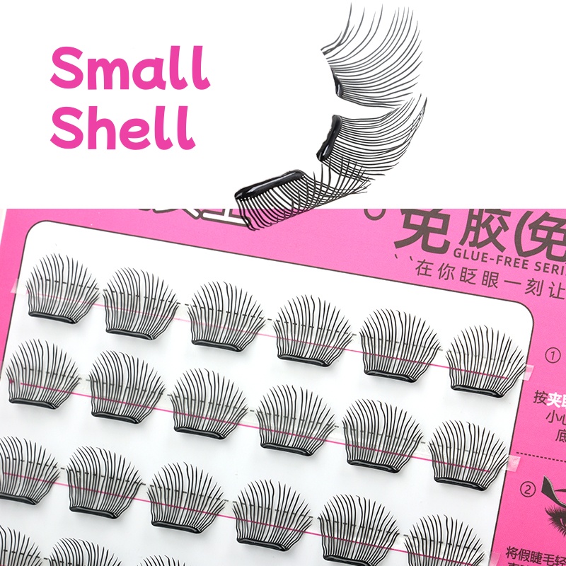 Petite coquille