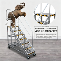 Échelle roulante d'entrepôt avec roues, plateforme de travail mobile en aluminium 400 kg, escalier d'accès, mains courantes, verrou de sécurité pour la manutention