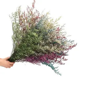 Flores preservadas de Caspia, tallos de limonio, flores secas, suministros para manualidades, decoración Floral para el hogar, boda, flores para jarrón, flores DIY - Product Image 1