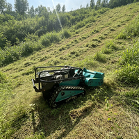 Tondeuse sur chenilles à grande capacité de réservoir de carburant, idéale pour une tonte continue toute la journée sur les fermes de moutons périurbaines