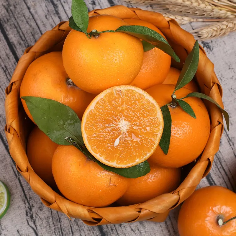 Naranja mandarina fresca de la mejor calidad/naranja fresca, naranja Naval naranjas Valencia/kino mandarín totalmente jugosa