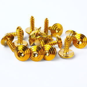 Repuestos para Motocicletas, Tornillos Modificados de Acero Inoxidable 304 en Color Titanio y Azul, M5 - Product Image 6