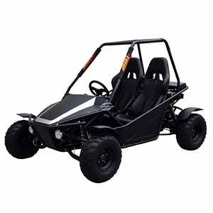 รถโกคาร์ทวิบาก Kandi 150 ซีซี ขับเคลื่อนด้วยโซ่ สำหรับผู้ใหญ่ รุ่น Dune Buggy - Product Image 6
