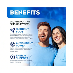 ओएम/ओटम अमेज़ॅन हॉट सेलिंग शाकाहारी प्राकृतिक मोरिंगा कैप्सूल समृद्ध एंटीऑक्सिडेंट आवश्यक विटामिन अमीनो एसिड ऊर्जा - Product Image 2
