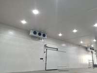 Almacén Refrigerado Industrial para Carne, Almacenamiento a Largo Plazo de Carne Congelada, Tamaño Personalizado, Motor Automático, Energía Solar