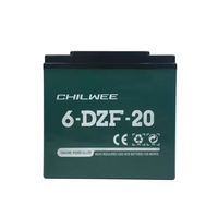 Batterie Haoyang 6 DZM 12 6-DZM-20 6-EVF-45 48V 20Ah 12V 20Ah 6 DZF20 12V 100Ah 200Ah 6-DZM-22-Batterie 60V 20Ah 32Ah