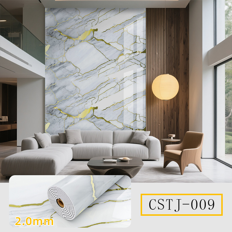 CSTJ009