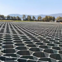 Grille de pavage en plastique pour gazon, grille en béton perméable pour allée, protection des pentes