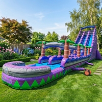 Toboggan aquatique gonflable commercial à double piste avec longue glissière, toboggan aquatique tropical palmier avec piscine, aire de jeux extérieure
