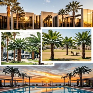 Bán Buôn 3M 5M 8M Cao Lớn Sợi Thủy Tinh Nhựa Nhân Tạo Dừa Canary Ngày Cây Cọ Cho Nhà Trong Nhà Ngoài Trời Vườn Trang Trí Nội Thất - Product Image 6