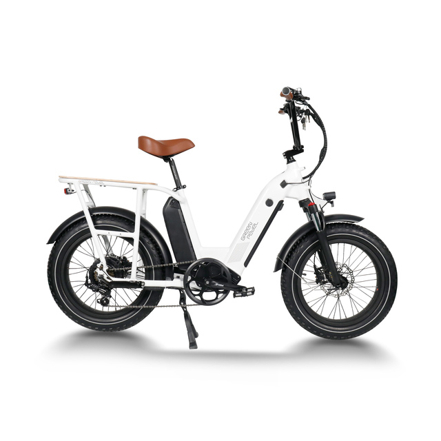 Fat Tire 48v 750w Aluminum Alloy Frame Ebike Dual Battery Electric Cargo Bike