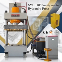 Prensa Hidráulica para Cajas de Medidores Eléctricos de FRP SMC, Prensas Hidráulicas de Moldeo por Compresión de 500 Toneladas