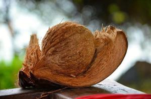 Máquina Peladora de Cáscara de Coco a Precio de Fábrica, Máquina para Quitar la Piel Marrón del Coco, Máquina Peladora de Coco China - Product Image 6