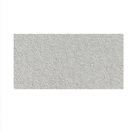 Carreaux de porcelaine antidérapants 60x30 18mm pour extérieur, résistants à l'usure, isolants thermiquement, résistants aux acides, pour parkings et jardins extérieurs