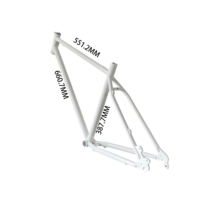 Pièces de vélo électrique populaires TRB, cadre Dengfu haute performance, moteur sans balais en chrome-molybdène fait à la main, modèle noir/blanc