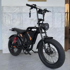 Disiyuan ENDURO eBike รถออฟโรด, จักรยานวิบาก2.0 E BOX E - Product Image 4
