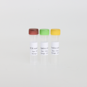 <span class=keywords><strong>PCV2</strong></span>/PCV3 Dual Fluorescent PCR <span class=keywords><strong>Kit</strong></span> - 50 T/Box Vet <span class=keywords><strong>Diagnostic</strong></span> Réactifs ISO Certifié - Product Image 5
