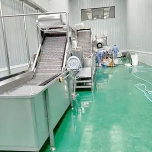 マンゴーアプリコットピーピー濃縮加工ラインパッションフルーツパルプ製造機 - Product Image 3