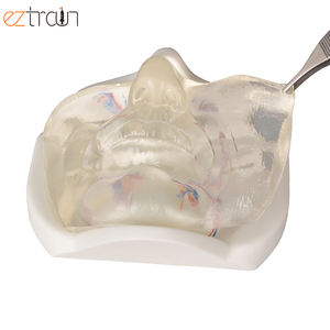 แบบจำลองใบหน้าส่วนล่างของผู้หญิง<span class=keywords><strong>ท</strong></span>ี่มีหลอดเลือดแบบจำลองใบหน้าที่มีกากบาทการฝึกยกด้าย - Product Image 6