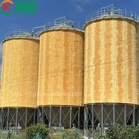 Silo di Stoccaggio per Chicchi di Caffè in Acciaio Zincato Corrugato da 5000 Tonnellate, Assemblaggio Verticale Imbullonato, per Uso in Allevamenti Avicoli, Prezzo di Fabbrica