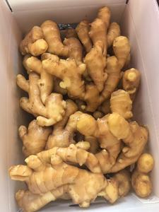 <span class=keywords><strong>2025</strong></span> New Thu Hoạch Gừng Tươi Nhà Cung Cấp Tại Trung Quốc Chất Lượng Tốt Nhất Tươi Và Khô Gừng Giá Bán Buôn - Product Image 4