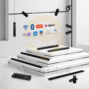 Tùy Chỉnh Từ LED Theo Dõi Đèn Siêu Mỏng Đường Sắt Thông Minh Từ Tuyến Tính Theo Dõi Ánh Sáng Cực Hẹp 24V Nam Châm Theo Dõi Ánh Sáng - Product Image 5