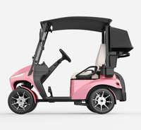 Voiturette de golf professionnelle certifiée CE à un siège, charge rapide, mini-buggy électrique à 4 roues pour l'entretien des terrains de golf, vente en gros