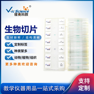 [Original Manufacturer] 50-Style Set of Plant Slides for Higher Education - Beautiful <b>Microscopic</b> Images, Specially Designed - Product Image 3