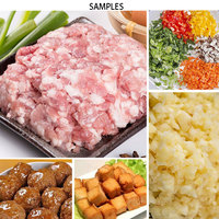 Hachoir à viande multifonctionnel, machine à émulsionner la viande pour le remplissage de saucisses, la préparation de pâtes de viande, de piments et d'ail
