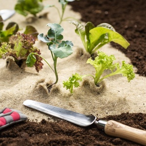 <span class=keywords><strong>Bloqueur</strong></span> de mauvaises herbes en jute non tissé compostable Anti herbe tissu ferme paysage commercial barrière de mauvaises herbes tapis de plante pour prévenir les mauvaises herbes - Product Image 4