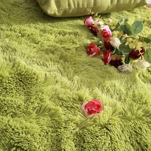 Siêu mềm hiện đại lông xù khu vực Thảm Fluffy phòng khách thảm - Product Image 4